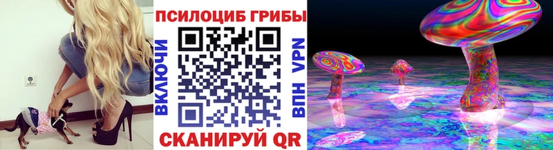 Галлюциногенные грибы MAGIC MUSHROOMS  цены   Пересвет 